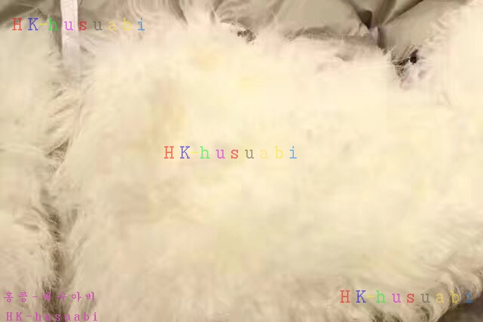 NEW ��Ŭ���� ������ �����е� 556032